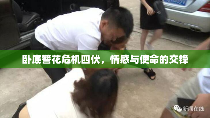 卧底警花危机四伏，情感与使命的交锋
