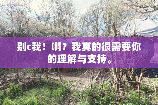 别c我！啊？我真的很需要你的理解与支持。