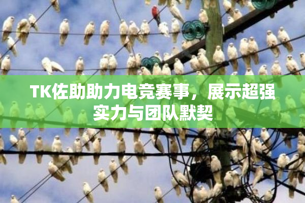 TK佐助助力电竞赛事，展示超强实力与团队默契