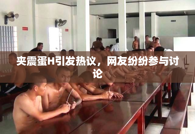 夹震蛋H引发热议，网友纷纷参与讨论