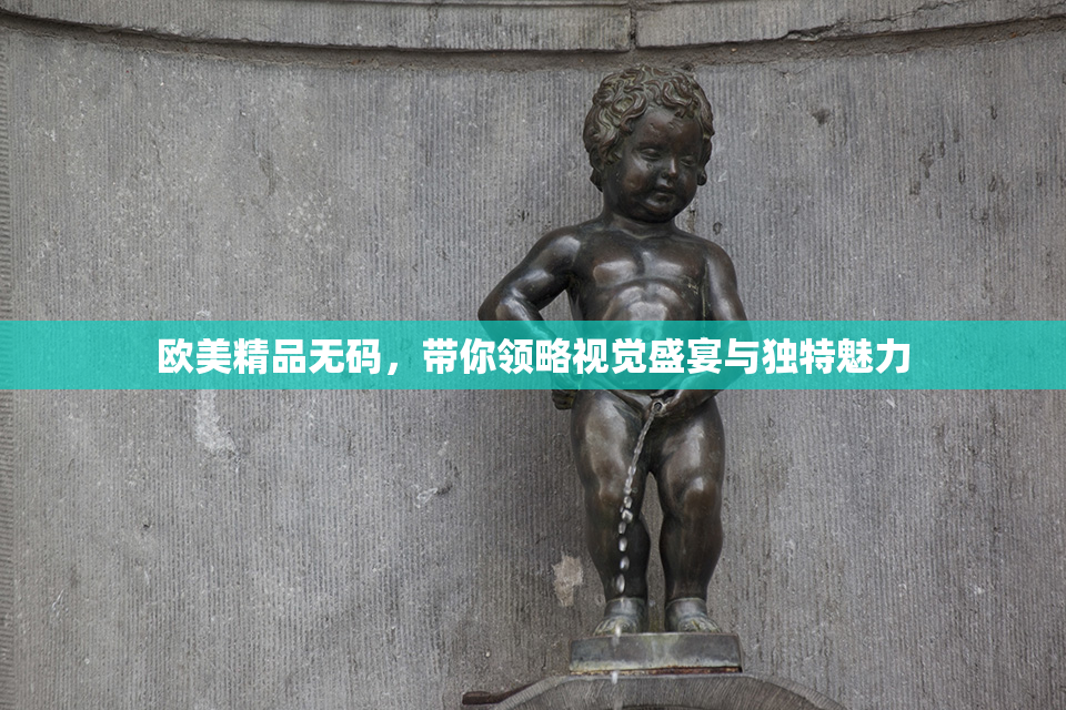 欧美精品无码，带你领略视觉盛宴与独特魅力