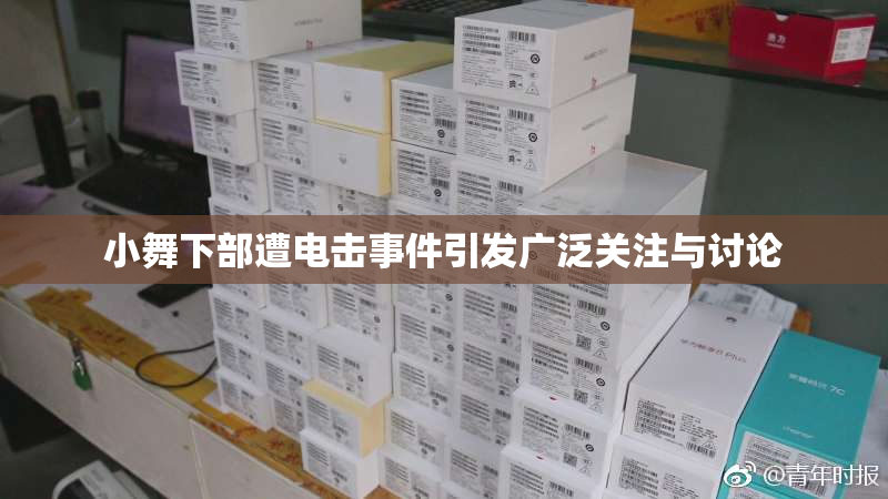 小舞下部遭电击事件引发广泛关注与讨论