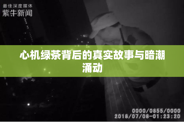 心机绿茶背后的真实故事与暗潮涌动