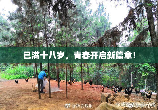 已满十八岁，青春开启新篇章！