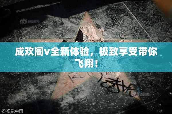 成欢阁v全新体验，极致享受带你飞翔！