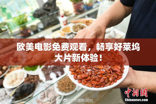欧美电影免费观看，畅享好莱坞大片新体验！