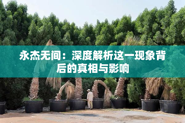 永杰无间：深度解析这一现象背后的真相与影响