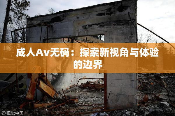 成人Av无码：探索新视角与体验的边界