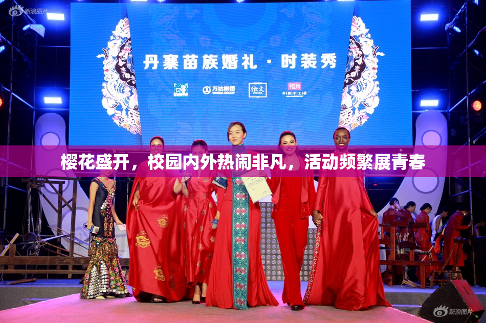 樱花盛开，校园内外热闹非凡，活动频繁展青春