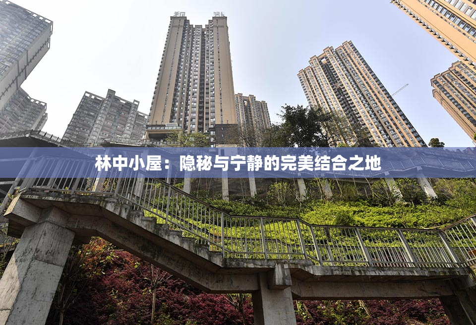林中小屋：隐秘与宁静的完美结合之地