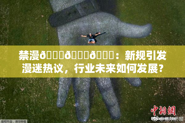 禁漫🍆🍑🔞：新规引发漫迷热议，行业未来如何发展？
