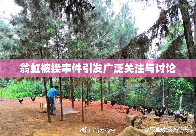 翁虹被揉事件引发广泛关注与讨论