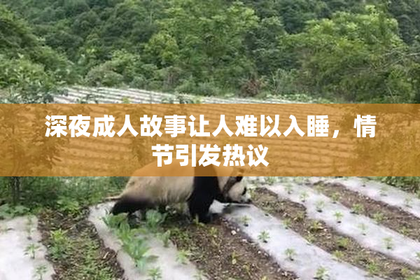 深夜成人故事让人难以入睡，情节引发热议