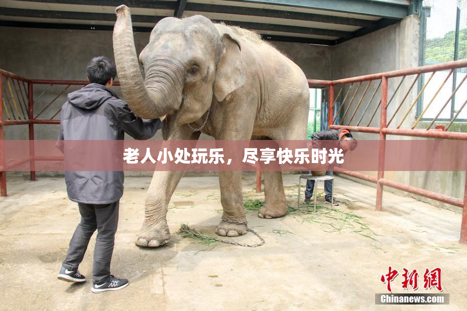 老人小处玩乐，尽享快乐时光