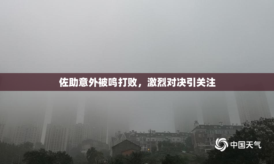 佐助意外被鸣打败，激烈对决引关注