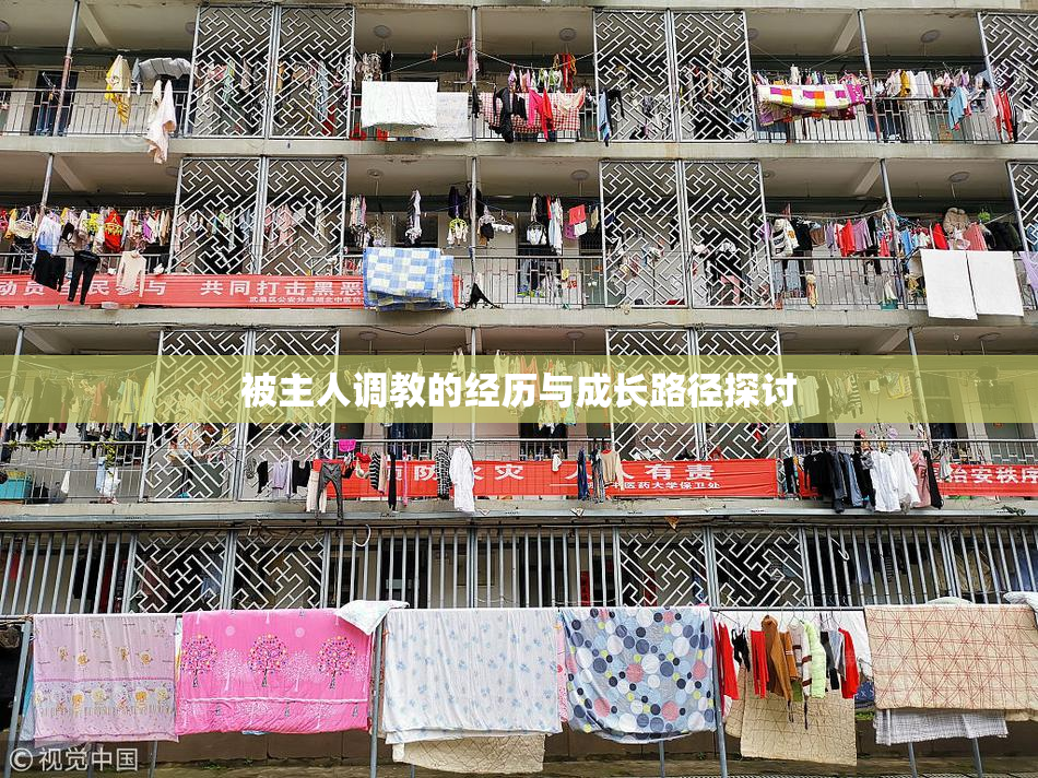 被主人调教的经历与成长路径探讨