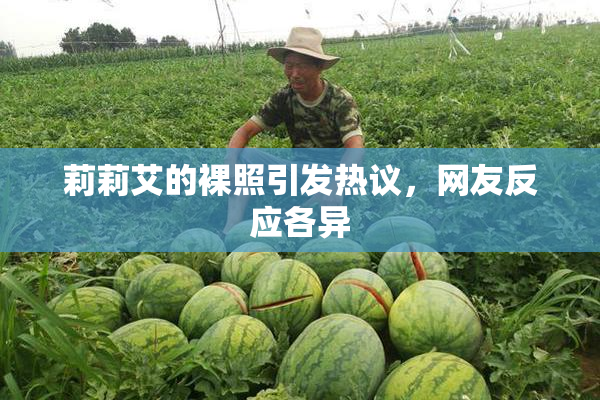 莉莉艾的裸照引发热议，网友反应各异