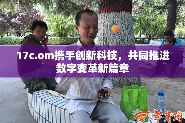 17c.om携手创新科技，共同推进数字变革新篇章