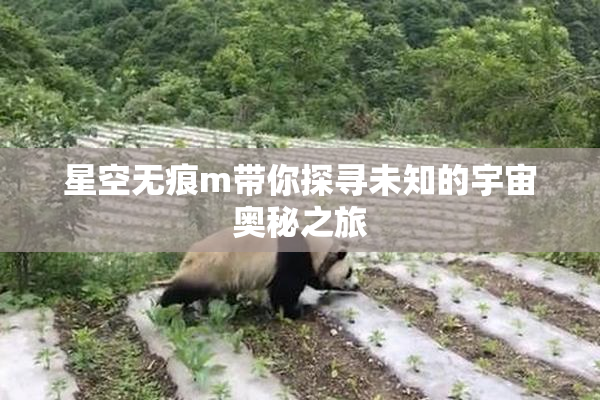 星空无痕m带你探寻未知的宇宙奥秘之旅