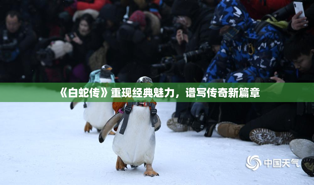 《白蛇传》重现经典魅力，谱写传奇新篇章