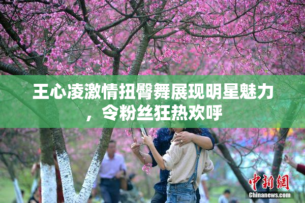王心凌激情扭臀舞展现明星魅力，令粉丝狂热欢呼