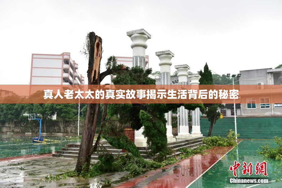 真人老太太的真实故事揭示生活背后的秘密