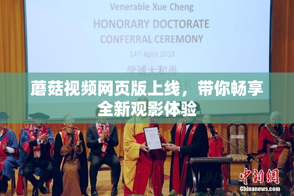 蘑菇视频网页版上线，带你畅享全新观影体验