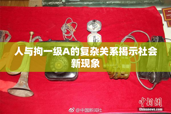 人与拘一级A的复杂关系揭示社会新现象