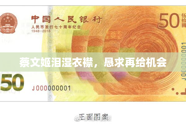 蔡文姬泪湿衣襟，恳求再给机会