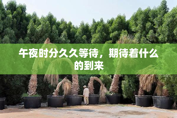 午夜时分久久等待，期待着什么的到来