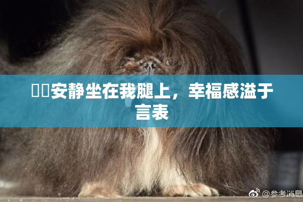 妺妺安静坐在我腿上，幸福感溢于言表