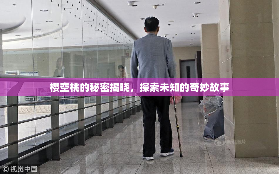 樱空桃的秘密揭晓，探索未知的奇妙故事