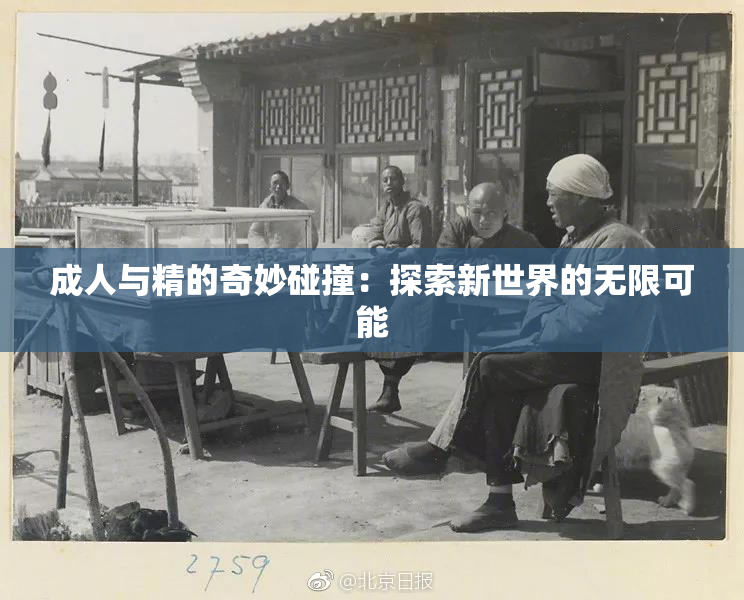 成人与精的奇妙碰撞：探索新世界的无限可能