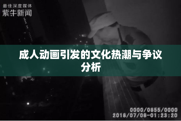 成人动画引发的文化热潮与争议分析