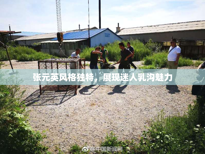 张元英风格独特，展现迷人乳沟魅力