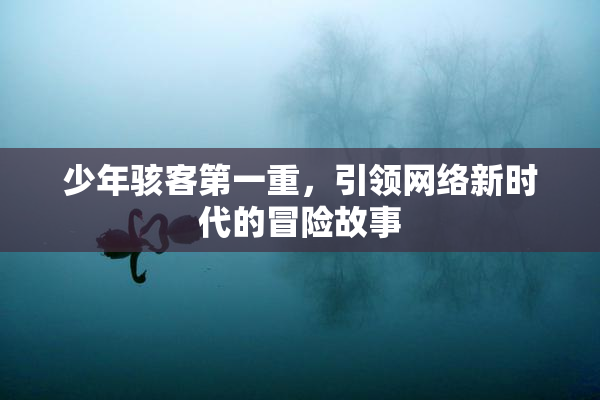 少年骇客第一重，引领网络新时代的冒险故事