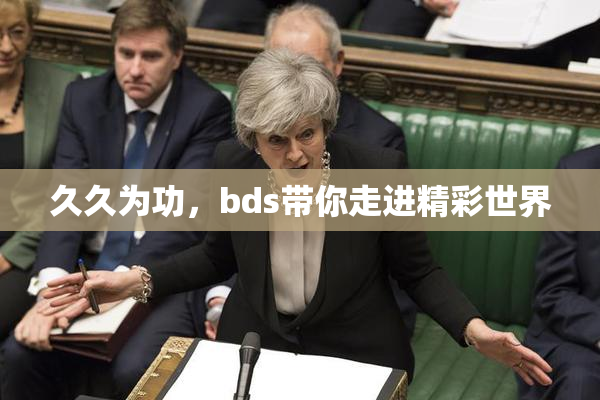 久久为功，bds带你走进精彩世界