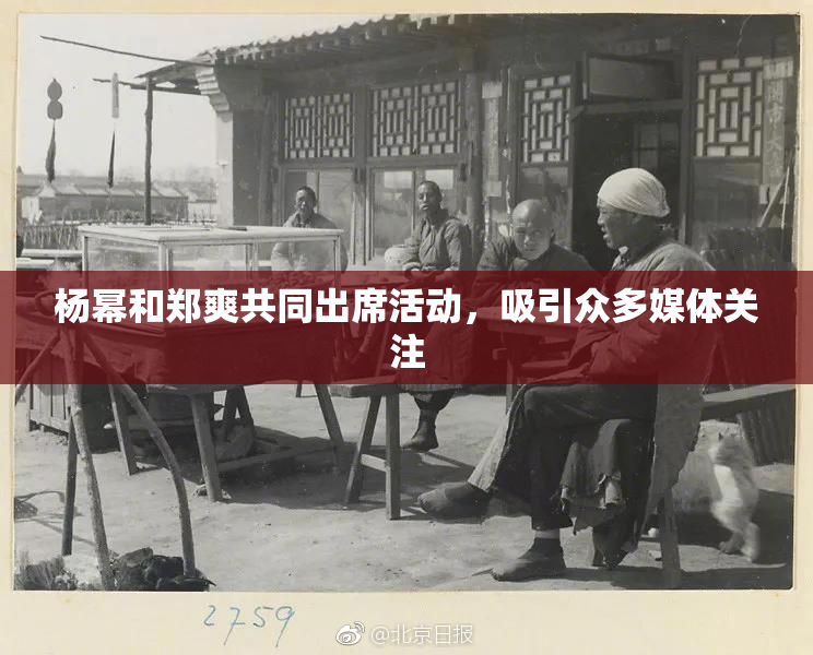 杨幂和郑爽共同出席活动，吸引众多媒体关注