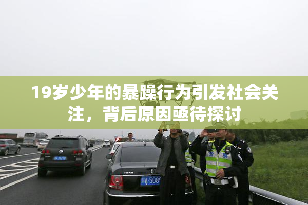 19岁少年的暴躁行为引发社会关注，背后原因亟待探讨