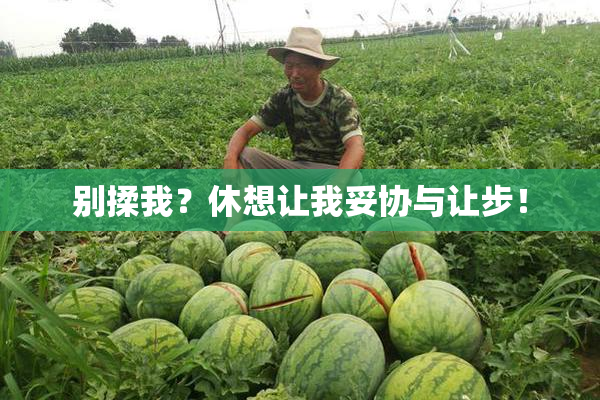 别揉我？休想让我妥协与让步！