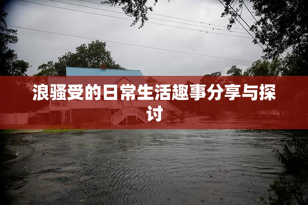浪骚受的日常生活趣事分享与探讨