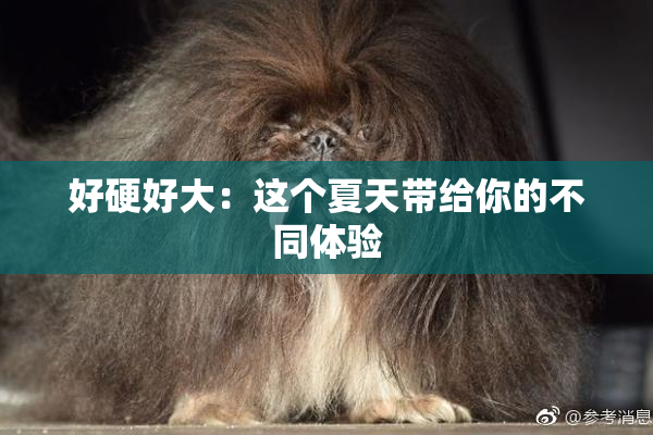 好硬好大：这个夏天带给你的不同体验