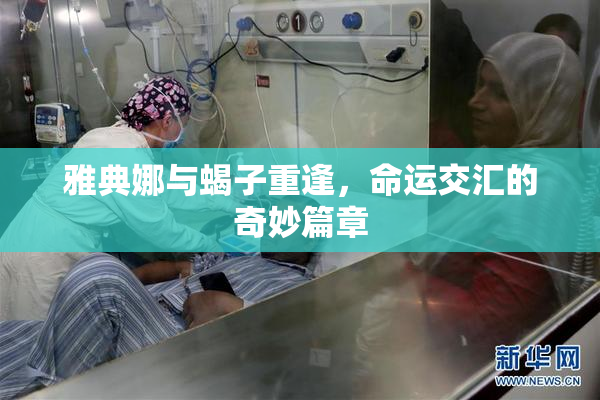 雅典娜与蝎子重逢，命运交汇的奇妙篇章