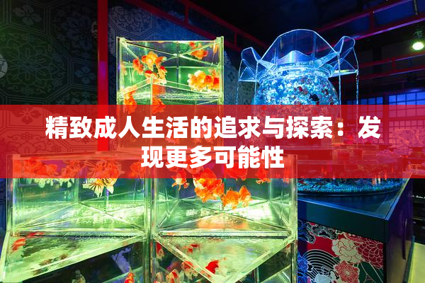 精致成人生活的追求与探索：发现更多可能性