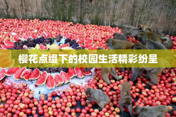 樱花点缀下的校园生活精彩纷呈