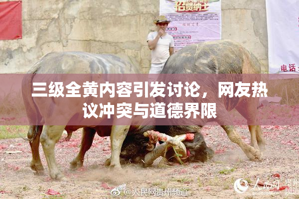 三级全黄内容引发讨论，网友热议冲突与道德界限