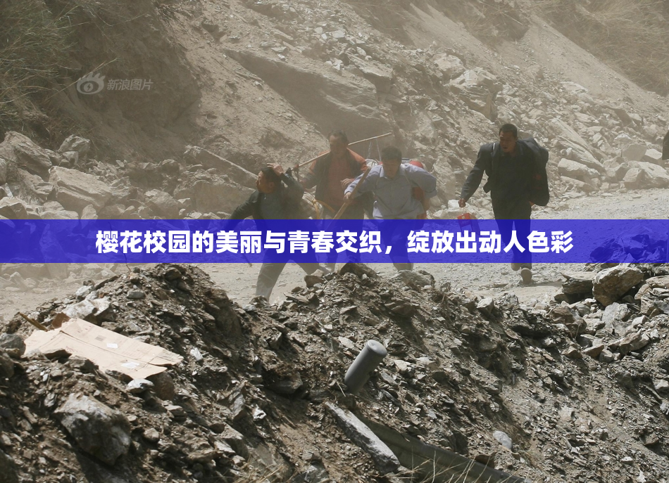 樱花校园的美丽与青春交织，绽放出动人色彩