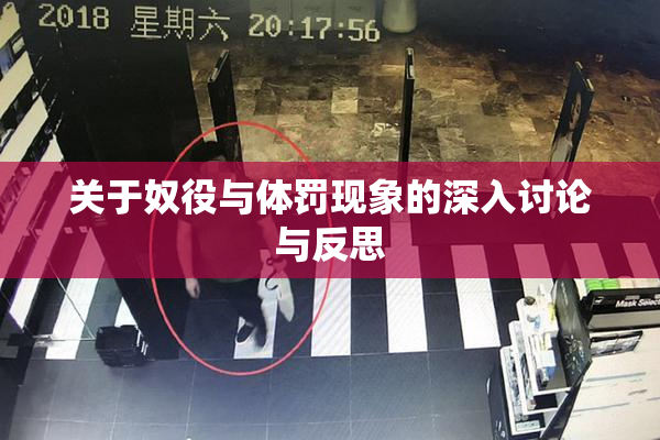 关于奴役与体罚现象的深入讨论与反思