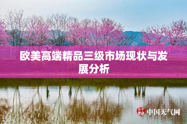 欧美高端精品三级市场现状与发展分析