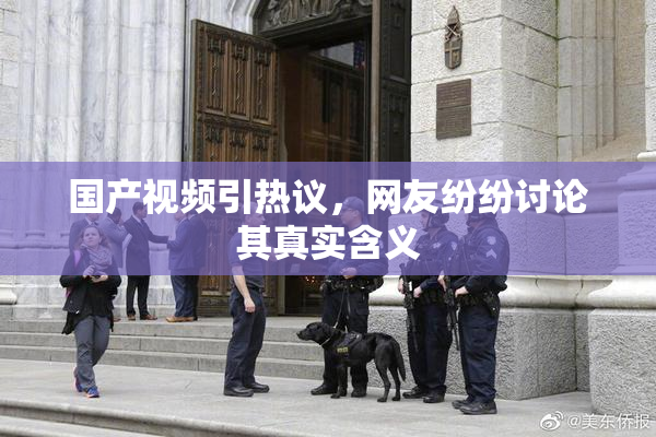 国产视频引热议，网友纷纷讨论其真实含义